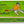 Charger l'image dans la galerie, Sardines à la sauce tomate piquante - Pinhais - enboite.ch