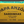 Charger l'image dans la galerie, Sardines à l'huile d'olive avec citron - Saboreal - enboite.ch