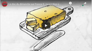 Reportage : La sardine en boîte, une filière bien huilée - enboite.ch