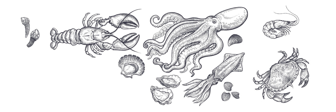 Fruits de mer - enboite.ch