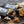 Foie de lotte - Fangst - enboite.ch