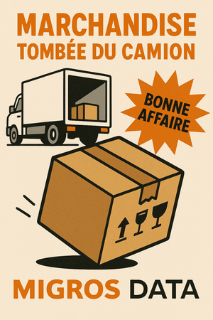 Tombé du camion - enboite.ch - enboite.ch