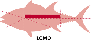 Filet de thon rouge à l'huile d'olive - Gadira - enboite.ch