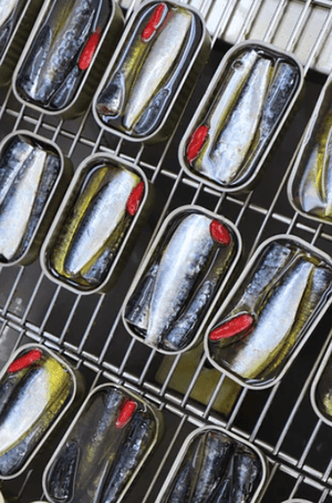Sardines à l'huile d'olive avec piment - Saboreal - enboite.ch